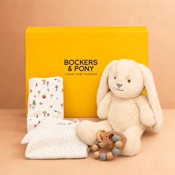 Cuddles Baby Hamper